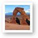 Ravens visiting Delicate Arch Art Print