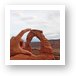 Squishing Delicate Arch Art Print
