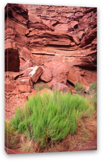 Greenery and Red Rock Fine Art Canvas Print