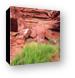 Greenery and Red Rock Canvas Print