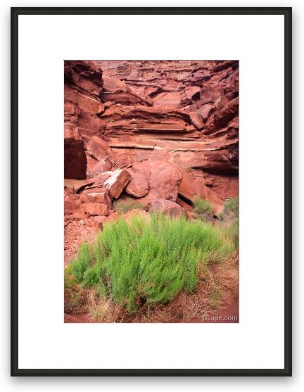 Greenery and Red Rock Framed Fine Art Print