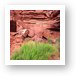 Greenery and Red Rock Art Print