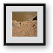 Buy Framed Print