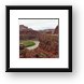 Colorado River Framed Print