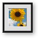 Buy Framed Print