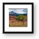 Buy Framed Print