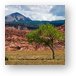 Buy Metal Print