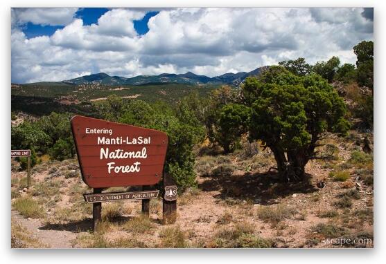 Manti-LaSal National Forest Fine Art Metal Print