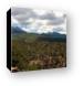 Manti-LaSal National Forest Canvas Print