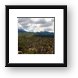 Manti-LaSal National Forest Framed Print