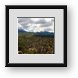 Buy Framed Print