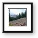 Buy Framed Print