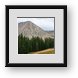 Buy Framed Print