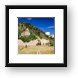 Road to Burro Pass Framed Print