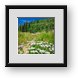 Buy Framed Print