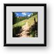 Buy Framed Print