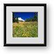 Buy Framed Print