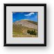 Buy Framed Print