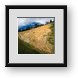Buy Framed Print