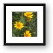 Mountain wildflowers Framed Print