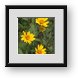 Buy Framed Print