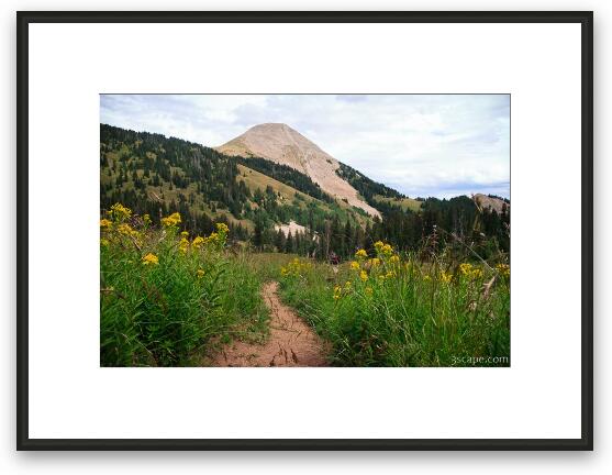 Hiking trail Framed Fine Art Print