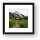 Hiking trail Framed Print