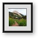 Buy Framed Print