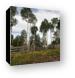 Rustic wood fence at ranch Canvas Print