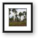 Rustic wood fence at ranch Framed Print