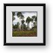 Buy Framed Print