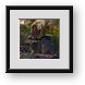 Buy Framed Print