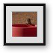 Buy Framed Print