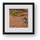 Buy Framed Print