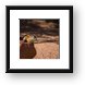 Chipmunk Framed Print