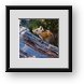 Buy Framed Print