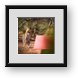 Buy Framed Print