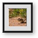 Buy Framed Print