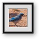 Buy Framed Print