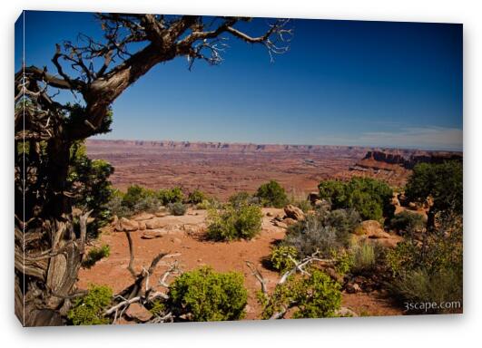 Needles Overlook Fine Art Canvas Print