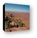 Overlooking the Canyonlands Needles Area Canvas Print