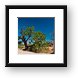 More desert trees Framed Print