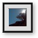 Buy Framed Print