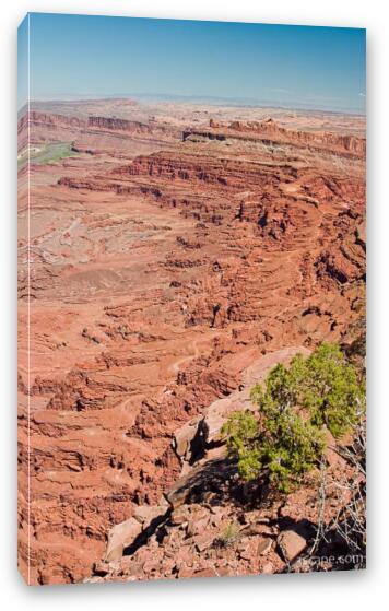 Hurrah Pass and Chicken Corners Trail from above Fine Art Canvas Print