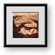 Buy Framed Print
