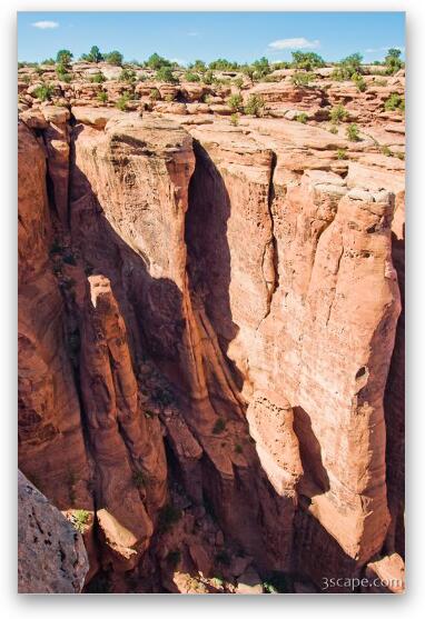 Tiny Mark at the top of Bull Canyon Fine Art Print