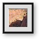 Buy Framed Print