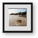 Buy Framed Print
