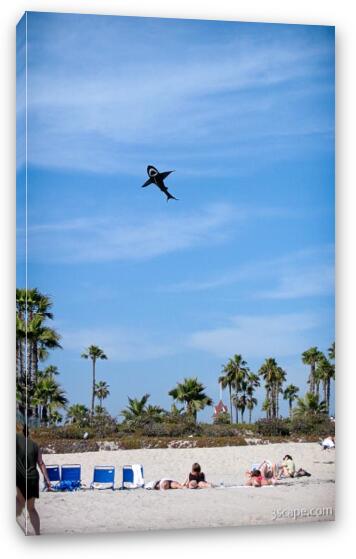 Watching for sharks Fine Art Canvas Print