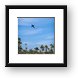 Watching for sharks Framed Print